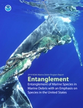Entanglement of Marine Species in Marine Debris Report.